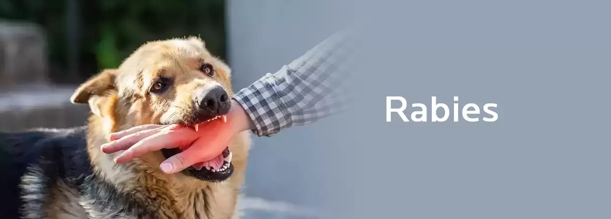 A serious threat of RABIES